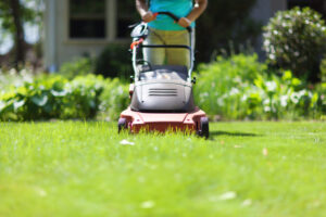 Mowing Grass with Electric Lawn Mover