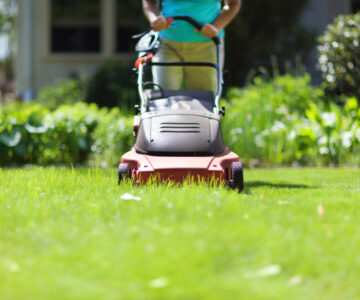 Mowing Grass with Electric Lawn Mover