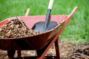 Real-tree-Trimming-and-Landscaping-Inc-Mulch-in-a-Wheelbarrow-1920w