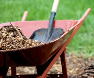 Real-tree-Trimming-and-Landscaping-Inc-Mulch-in-a-Wheelbarrow-1920w