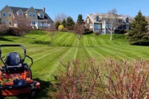 lawn-maintenance