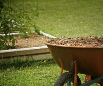 mulching-horticulture (1)